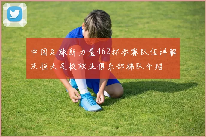 中国足球新力量462杯参赛队伍详解及恒大足校职业俱乐部梯队介绍